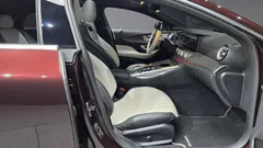 2022 Mercedes-Benz AMG GT 4Door 43 4MATIC+ Special Edition, 자주색 — фото 11