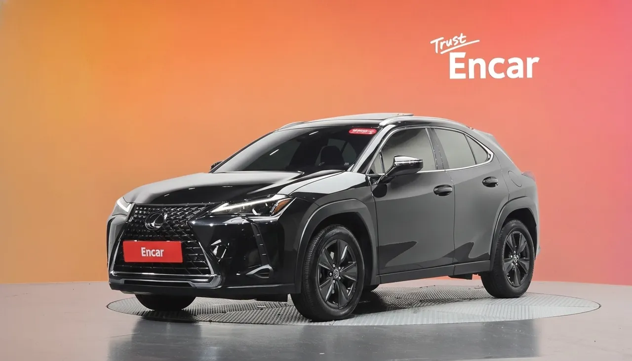 2024 Lexus UX 2.0 2WD