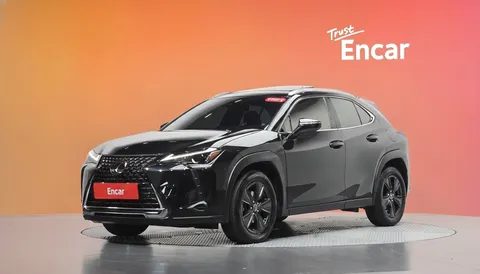 2024 Lexus UX 2.0 2WD