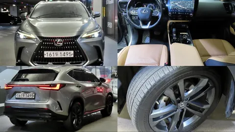 2022 Lexus NX Premium