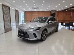 2023 Lexus RX Luxury, светло-серебристый — фото 13