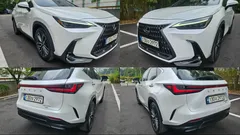 2024 Lexus NX Luxury — фото 14