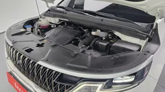 2023 Kia Canival Gasoline 11-Seater Prestige — фото 6