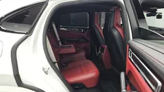 2023 Porsche Cayenne 3.0 COUPE PLATINUM EDITION — фото 15
