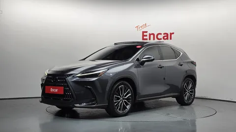 2023 Lexus NX Luxury