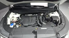 2024 Kia Sorento Gasoline 2.5T 2WD, белый — фото 6