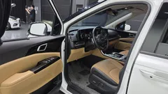 2023 Kia Carnival Diesel 9-Seater Noblesse — фото 10