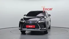 2022 Lexus RX Luxury Plus, чёрный — фото 3
