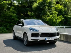 2022 Porsche Cayenne 3.0 COUPE PLATINUM EDITION — фото 11