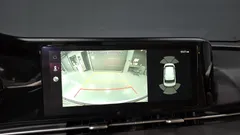 2023 Kia Carnival Gasoline 9-Seater Prestige — фото 18