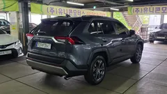 2023 Toyota RAV4 2,5 4WD Hybrid LTD, серый — фото 4