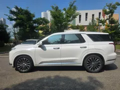 2023 Hyundai Palisade Diesel 2.2 2WD — фото 4