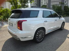 2023 Hyundai Palisade Diesel 2.2 2WD — фото 6