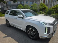 2023 Hyundai Palisade Diesel 2.2 2WD — фото 13