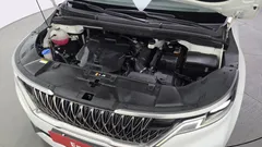 2023 Kia Carnival Gasoline 9-Seater Signature — фото 6