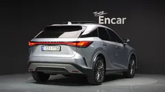 2023 Lexus RX Luxury, серебристый — фото 2