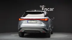 2023 Lexus RX Luxury, серебристый — фото 4