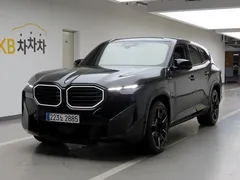 2023 BMW XM 4.4 — фото 1