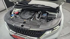 2023 Kia Carnival Diesel 9-Seater Signature — фото 6