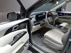 2023 Kia Carnival Diesel 9-Seater Hi-Limousine — фото 10