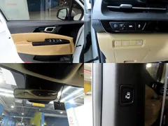 2023 Kia Carnival Diesel 9-Seater Prestige — фото 20
