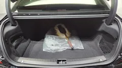 2021 Volvo S90 B6 AWD Inscription, чёрный — фото 20