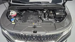 2023 Kia Canival Gasoline 9-Seater Noblesse — фото 6