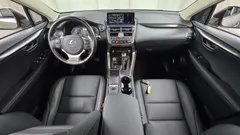 2021 Lexus NX Executive, серебристый — фото 7