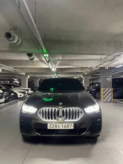 2022 BMW X6 xDrive30d M Sport — фото 15