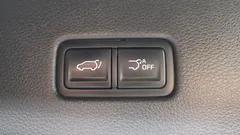 2023 Kia Carnival Diesel 9-Seater Signature — фото 20