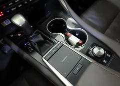 2021 Lexus RX Luxury Plus, серый — фото 16