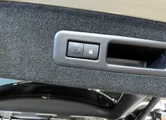 2021 Lexus RX Luxury Plus, серый — фото 19