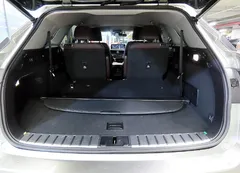 2021 Lexus RX Luxury Plus, серый — фото 20