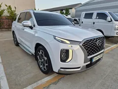 2022 Hyundai Palisade Diesel 2.2 4WD — фото 13