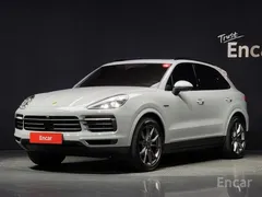 2023 Porsche Cayenne 3.0 E-HYBRID PLATINUM EDITION — фото 13