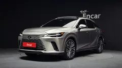2023 Lexus RX Luxury, 연금색 — фото 1