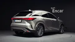 2023 Lexus RX Luxury, 연금색 — фото 2