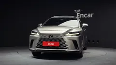 2023 Lexus RX Luxury, 연금색 — фото 3