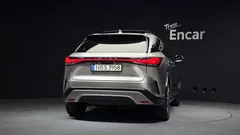 2023 Lexus RX Luxury, 연금색 — фото 4
