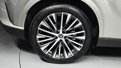 2023 Lexus RX Luxury, 연금색 — фото 5