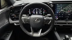 2023 Lexus RX Luxury, 연금색 — фото 14