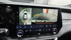 2023 Lexus RX Luxury, 연금색 — фото 15