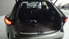 2023 Lexus RX Luxury, 연금색 — фото 18