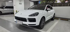 2023 Porsche Cayenne 3.0 COUPE PLATINUM EDITION — фото 12