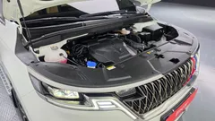 2023 Kia Carnival Gasoline 9-Seater Signature — фото 6