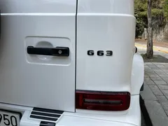 2021 Mercedes-Benz G-Class AMG G63 Edition — фото 18