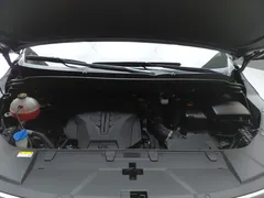2023 Kia Carnival Gasoline 9-Seater Signature — фото 6