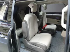 2023 Kia Carnival Gasoline 9-Seater Signature — фото 11