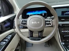 2023 Kia Carnival Gasoline 9-Seater Signature — фото 14