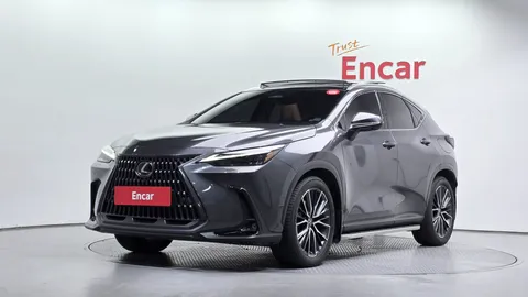 2024 Lexus NX Luxury
